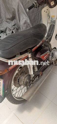 Honda Dream Thái 1995 Nâu