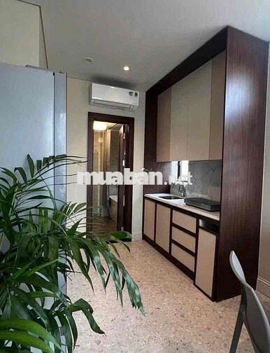 Cho thuê căn hộ 1PN 40m2 ban công full nội thất gần CV 23/9, Bến Thành