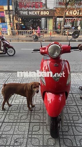 SYM Attila 2012 Đỏ
