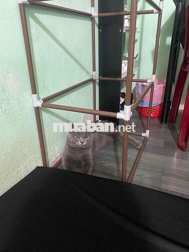 Tìm người ở ghép phòng trọ, mình là nam (bạn nữ ở cũng đc)