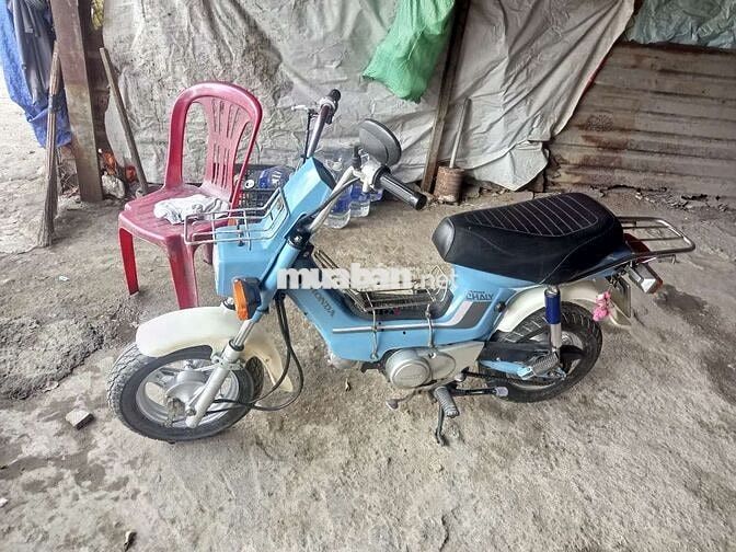 Honda Chaly Xanh dương
