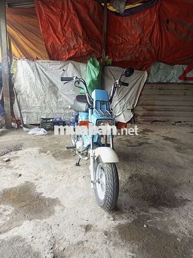 Honda Chaly Xanh dương