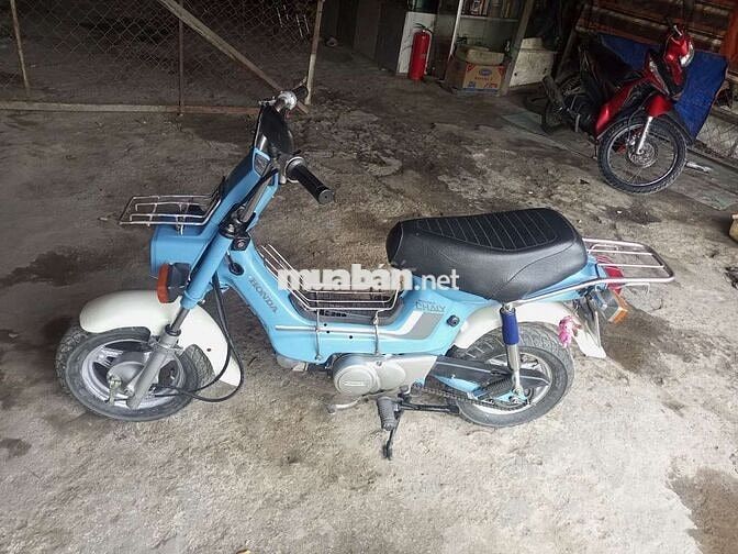 Honda Chaly Xanh dương