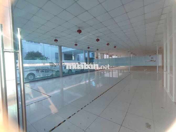 🏢 CHO THUÊ SHOWROOM / VĂN PHÒNG – CỘNG HÒA GARDEN, PHƯỜNG BẢY HIỀN 🏢