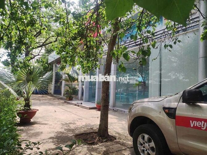 🏢 CHO THUÊ SHOWROOM / VĂN PHÒNG – CỘNG HÒA GARDEN, PHƯỜNG BẢY HIỀN 🏢