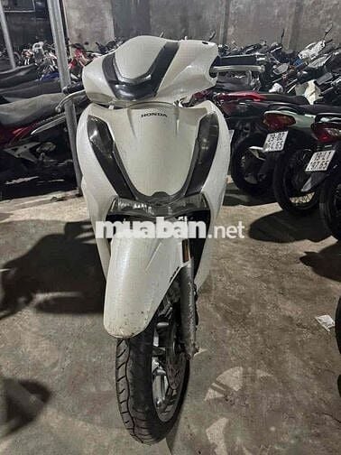 Honda SH 350