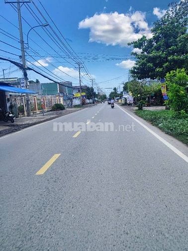 CHỦ KẸT TIỀN BÁN GẤP ĐẤT SÀO 1000m2 CHƠN THÀNH Đồng Nai GIÁ ĐẦU TƯ 