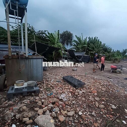 Nhà vườn 2000m có ao vườn. nhà tôn. Đường kênh trung ương Vĩnh Lộc B 
