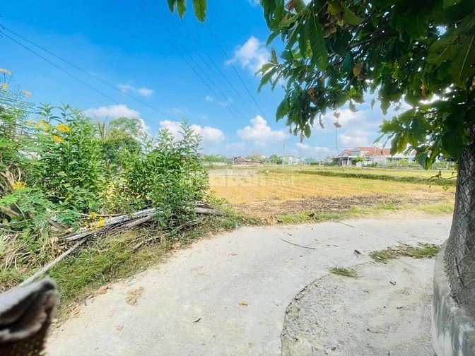 ✅Chính chủ bán 2 lô đất (đối lưng) thuộc Khu Phố Diêu Trì 