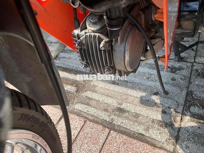 Honda Wave Cam, Xanh, Trắng