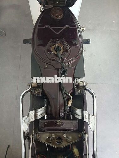 Honda Super Dream 99 Trắng, Nâu
