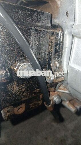 Honda Super Dream 99 Trắng, Nâu