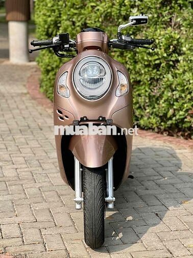 Scoopy 2022 smartkey bao sang tên.