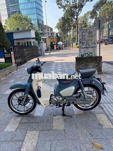 Supercup Xanh xi măng cọp bsđg siêu Vip 68AB-86868