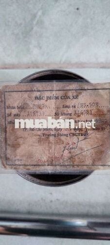 SS50 4mảnh bs sg