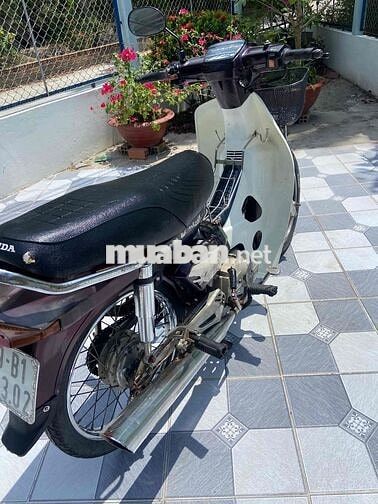 Honda Super Dream Nâu trắng