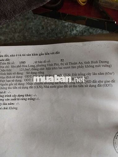 Đất 125m2 có nhà cấp 4 và phòng trọ tại Vĩnh Phú Thuân An Bình Dương