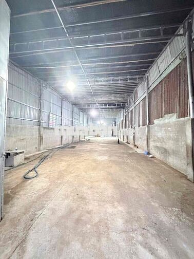 Cho thuê kho 7,5x33 Trần cao 6m giá 11tr kho trông suốt