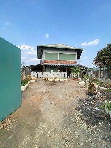 cho thuê kho xưởng sử dụng 800m2