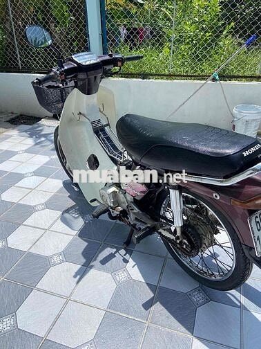 Honda Super Dream Nâu trắng