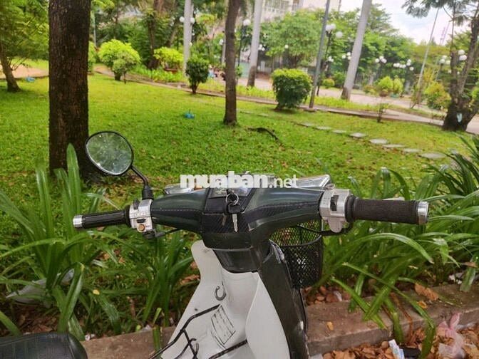 Cub 83 50 ngay chủ, bs 64, rin, phuộc đòn gánh