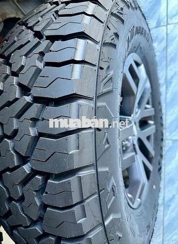 Ford Raptor 2019 không niên hạn