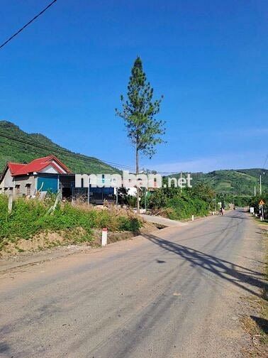Chính chủ bán nhà 445m2 mặt tiền Hương Lộ 62, nhà 2 mặttiền trước sau.