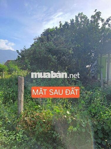 Chính chủ bán nhà 445m2 mặt tiền Hương Lộ 62, nhà 2 mặttiền trước sau.