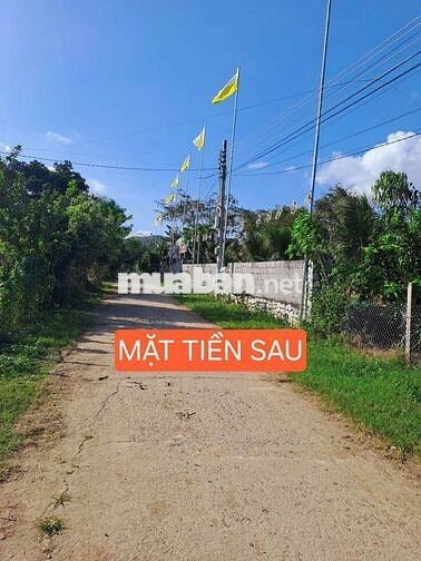 Chính chủ bán nhà 445m2 mặt tiền Hương Lộ 62, nhà 2 mặttiền trước sau.