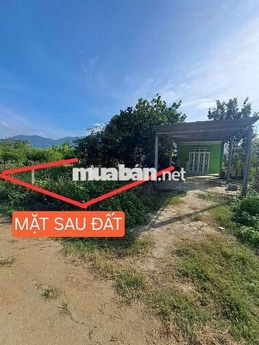 Chính chủ bán nhà 445m2 mặt tiền Hương Lộ 62, nhà 2 mặttiền trước sau.