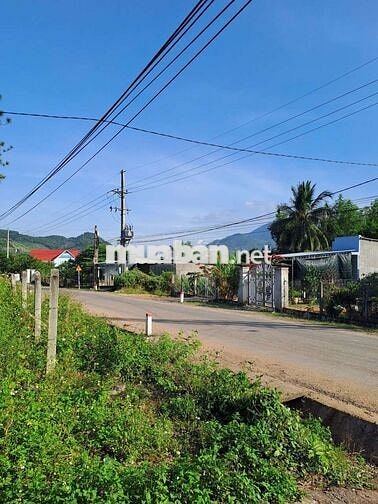 Chính chủ bán nhà 445m2 mặt tiền Hương Lộ 62, nhà 2 mặttiền trước sau.
