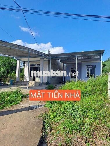 Chính chủ bán nhà 445m2 mặt tiền Hương Lộ 62, nhà 2 mặttiền trước sau.
