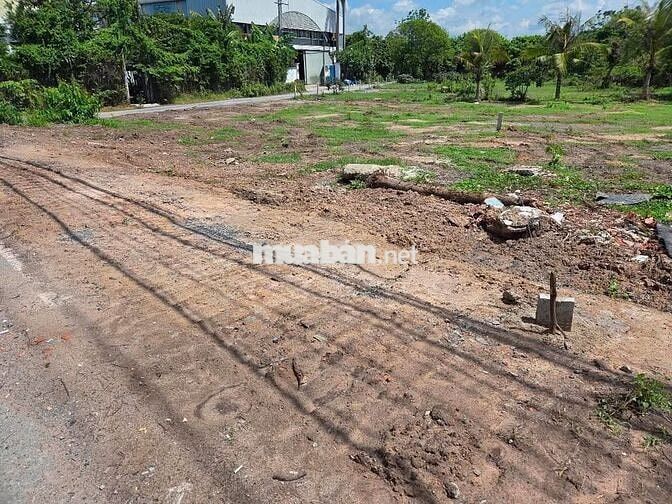 BÁN 441M2 ĐẤT Ở TÂN AN HỘI GIÁ 800TR - BÀU TRE - KCN TÂY BẮC - SỔ HỒNG