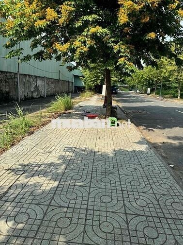 BÁN ĐẤT PHƯỜNG AN PHÚ ĐÔNG – QUẬN 12