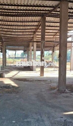xưởng cho thuê Tân hiệp hóc môn đường container