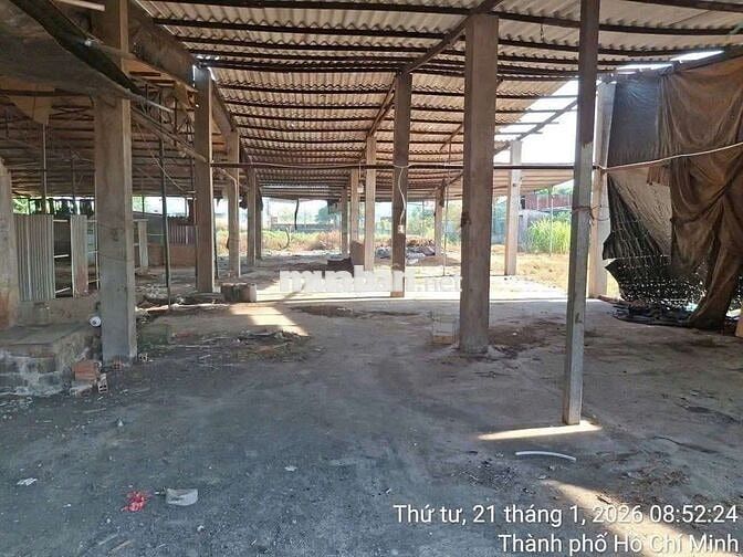 xưởng cho thuê Tân hiệp hóc môn đường container