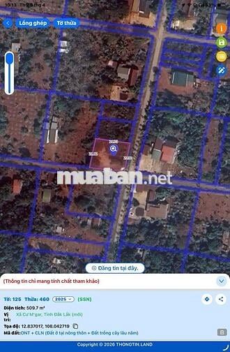 Nửa xào đất mặt tiền có sổ cần bán gấp