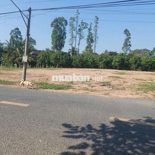 Bán đất nền lớn 2642m2, mặt tiền ngang 25m đường lộ 8m