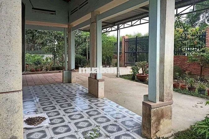 🌿 VỀ VƯỜN Ở LIỀN – GIÁ MỀM CHỐT NHANH 🌿