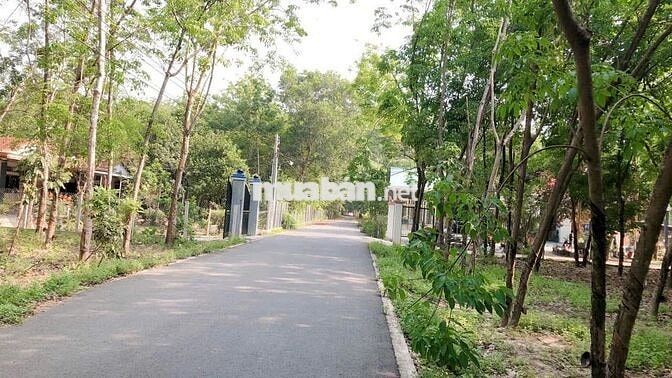 Bán Đất Chánh Phú Hoà , 2tỷ4xx ,Có ht Bank  Tdt 7x90 tdt 632m 200m ODT