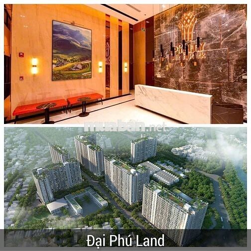 CHO THUÊ MẶT BẰNG KINH DOANH - VĂN PHÒNG, CHUNG CƯ PICITY QUẬN 12 🍀
