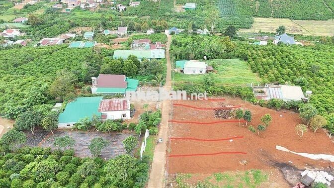 Bán Đất Xã Tân Châu Di Linh 217m giá 700 triệu