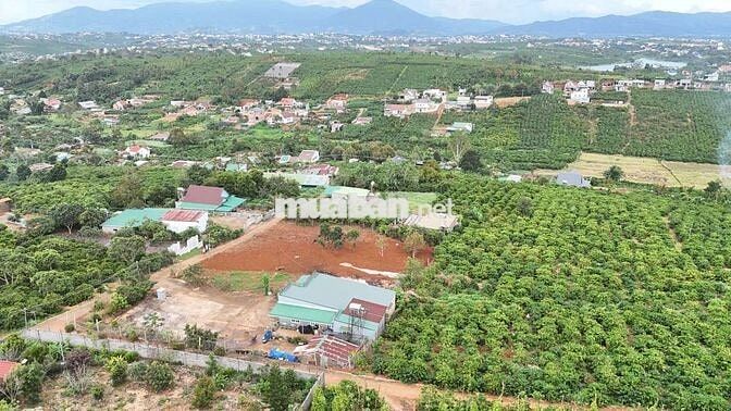 Bán Đất Xã Tân Châu Di Linh 217m giá 700 triệu