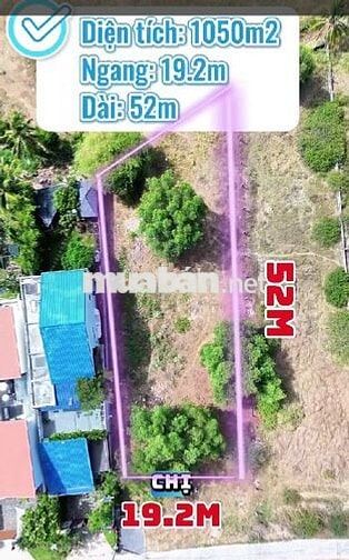 Bán đất tại Ngô Đức Tốn, 5 tỷ, 1051m2, mặt tiền 19.1m, pháp lý đầy đủ