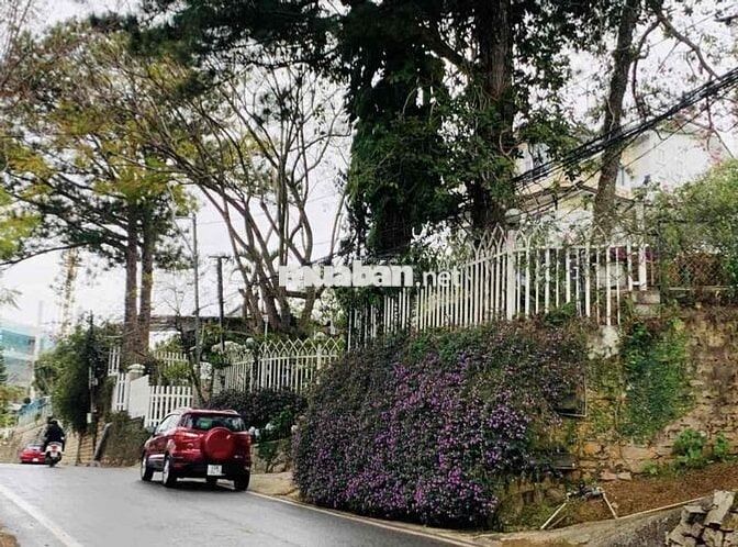 Cô Ba cần tiền cho con du học bán lô đất P3 Đà Lạt giá ngộp sổ sẵn