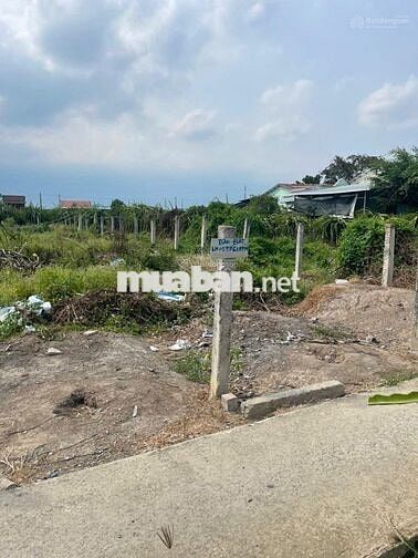 Bán đất tại Ấp cầu Ông Bụi, giá cực chất 390 triệu, DT 200m2, view đẹp