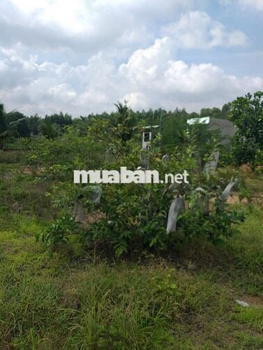 SIÊU PHẨM SECOND HOME SÁT VÀNH ĐAI 3 tại xã Vĩnh Thanh, Nhơn Trạch