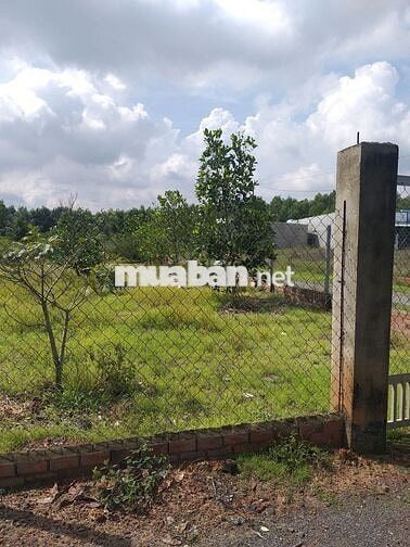 SIÊU PHẨM SECOND HOME SÁT VÀNH ĐAI 3 tại xã Vĩnh Thanh, Nhơn Trạch