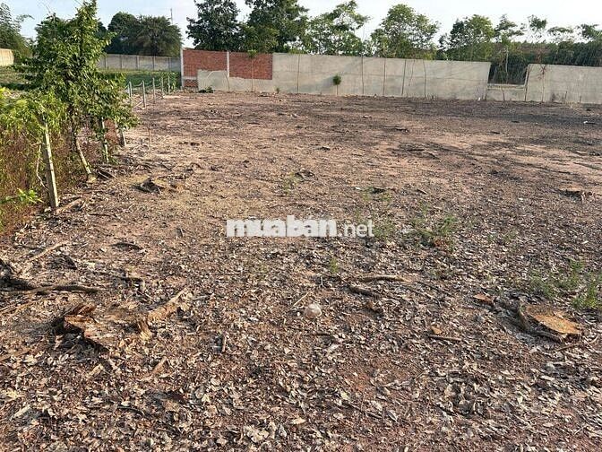 Cần bán lô đất Chánh Phú Hoà đường nhựa 5,5m cách QL 741 khoảng 70m