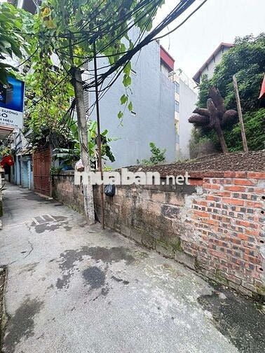 Bán Đất Trịnh Công Sơn ,cạnh Hồ Tây 